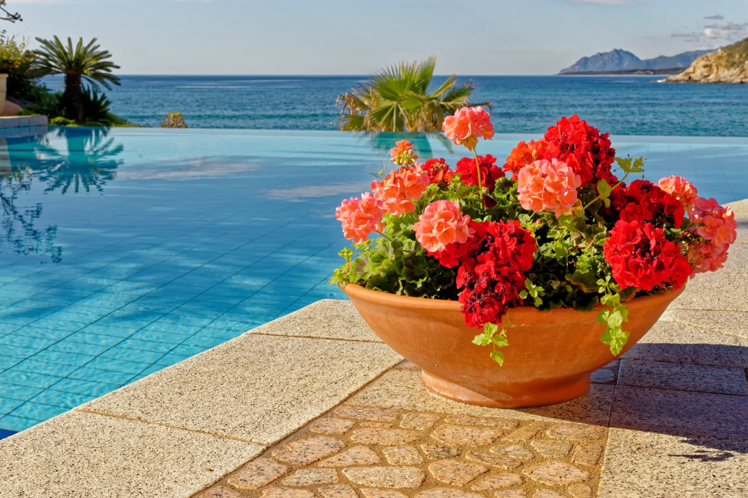 Pot De Fleurs Piscine Arbatax image