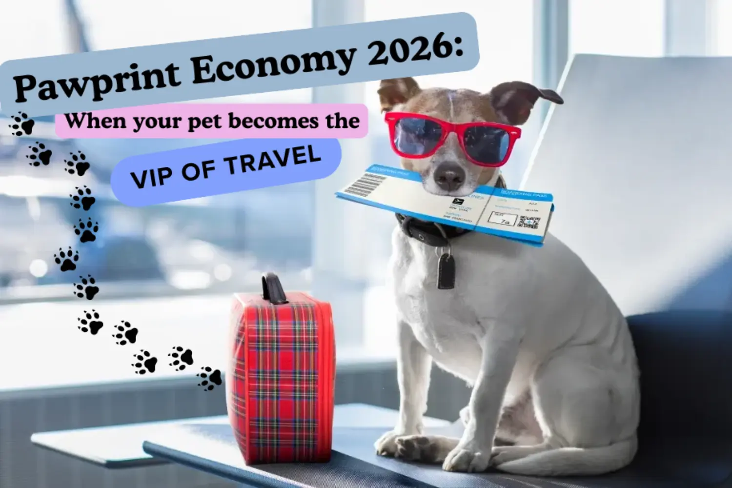 Un chien avec ses bagages, portant des lunettes de soleil et tenant son billet de ferry dans sa gueule